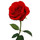 samantha_stoneburner