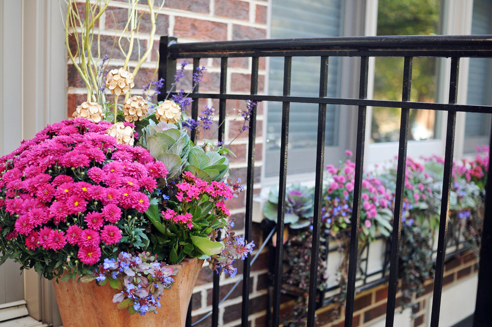 Photo of a mid-sized traditional full sun backyard landscaping in Chicago for fall.