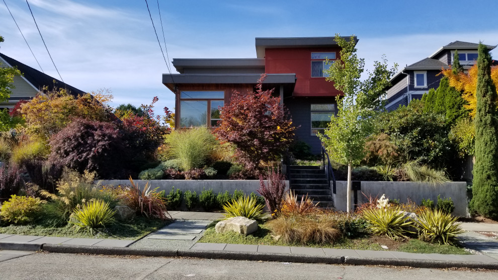 Стильный дизайн: солнечный, осенний засухоустойчивый сад на переднем дворе в современном стиле с камнем в ландшафтном дизайне, хорошей освещенностью и мощением тротуарной плиткой - последний тренд