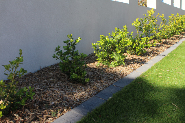 After Front Yard moderne-have
