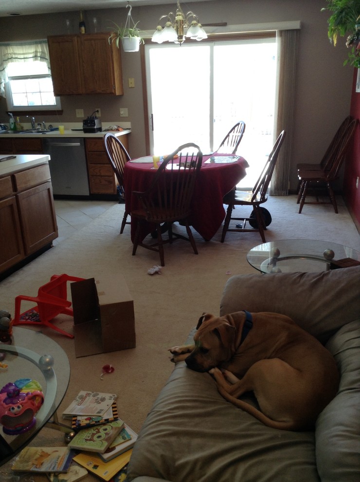 Should I replace carpet with wood flooring?