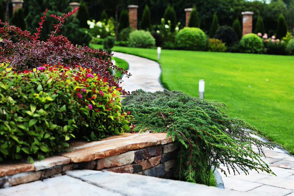 Легкий фьюжн 0.25 га