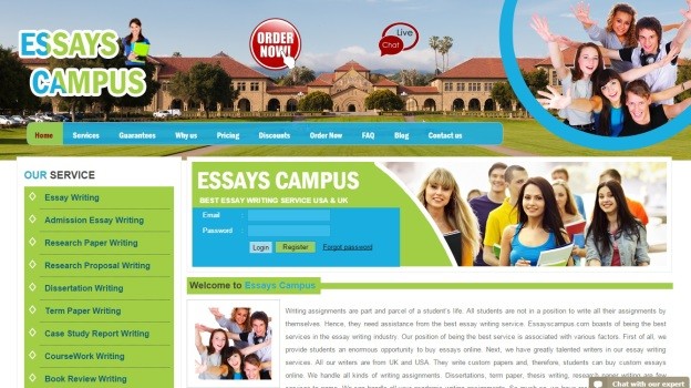 Best essay writing service reviews