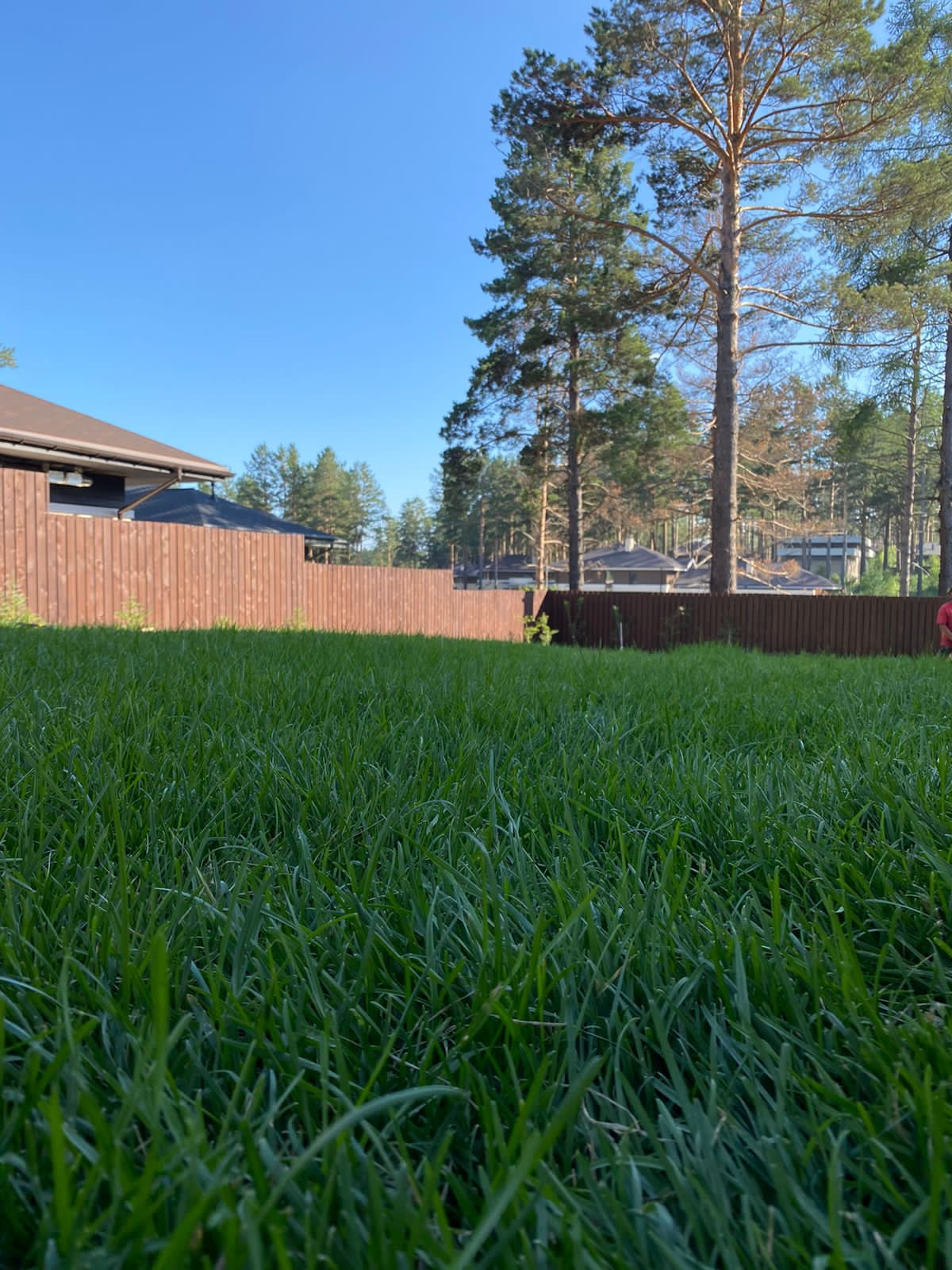 Проекты и благоустройство объектов