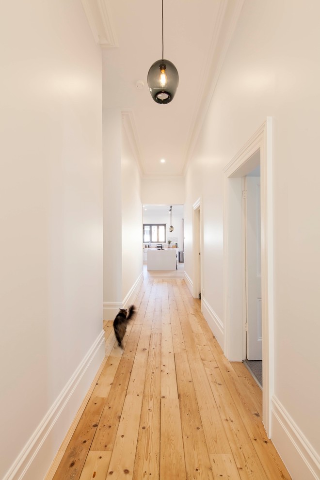 Mid-sized contemporary hallway in Melbourne with white walls and light hardwood floors.