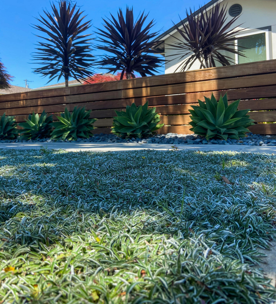 サンフランシスコにあるおしゃれな庭 (ゼリスケープ、天然石敷き、ウッドフェンス) の写真