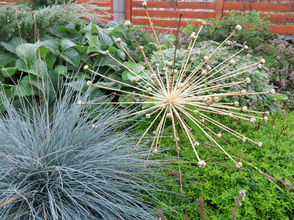 ЯГОДНОЕ ЛУКОШКО (РАСТВОРИВШИСЬ В РАДУГЕ). СЕЗОН 2016. УТРО