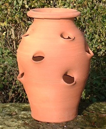 How useful are those terracotta strawberry planters? | Houzz Forum