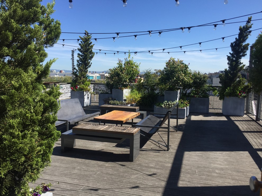Photo of a mid-sized modern rooftop partial sun formal garden in San Francisco with a vertical garden.