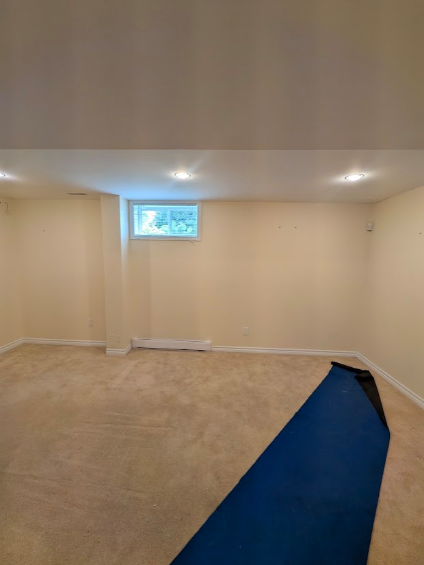 Basement Design+Build - Painting