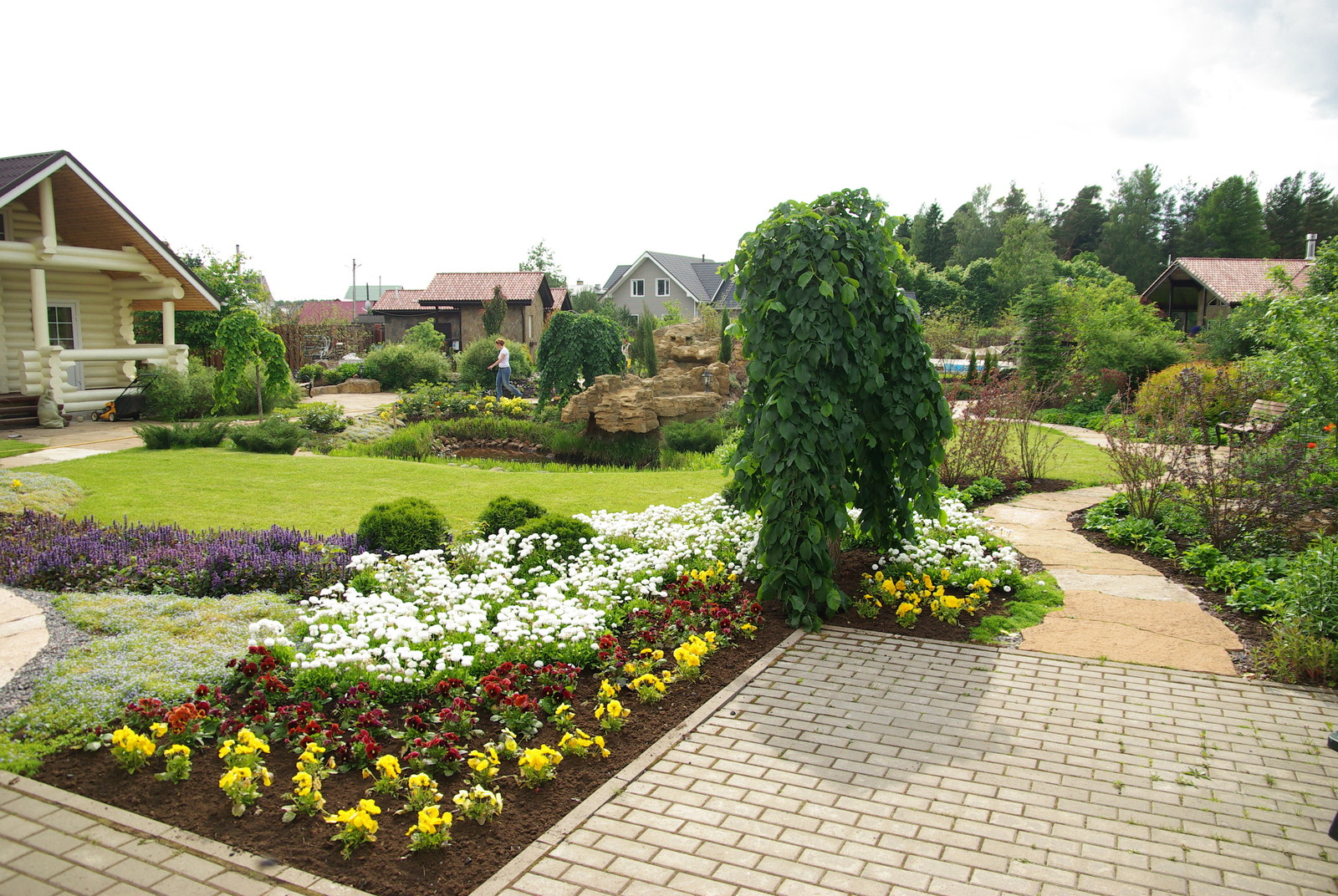 на бывшем болоте