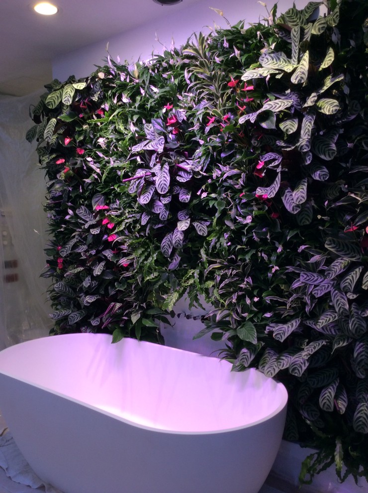 Ванна для Небожителя