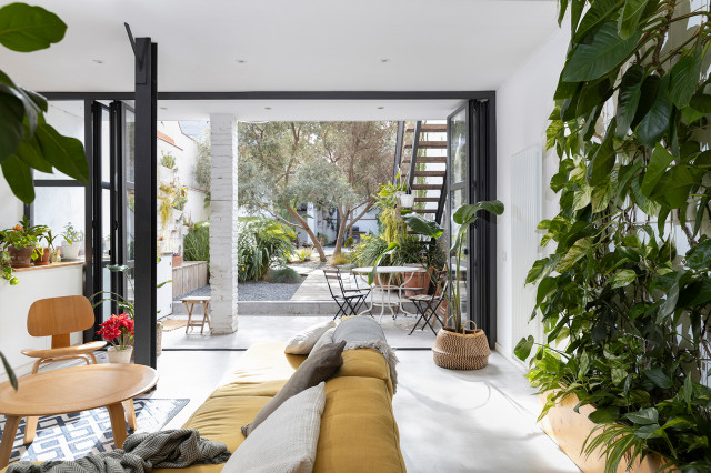 ZZ garden