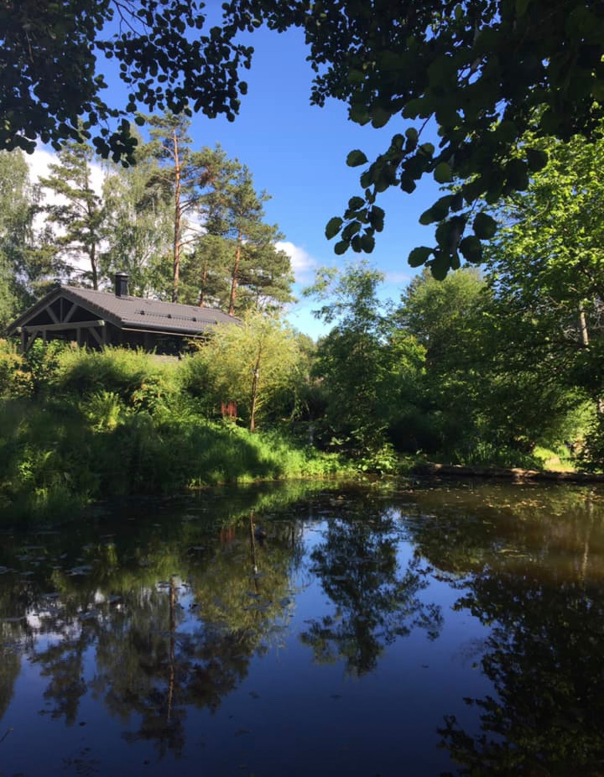 Сад натуралистического стиля