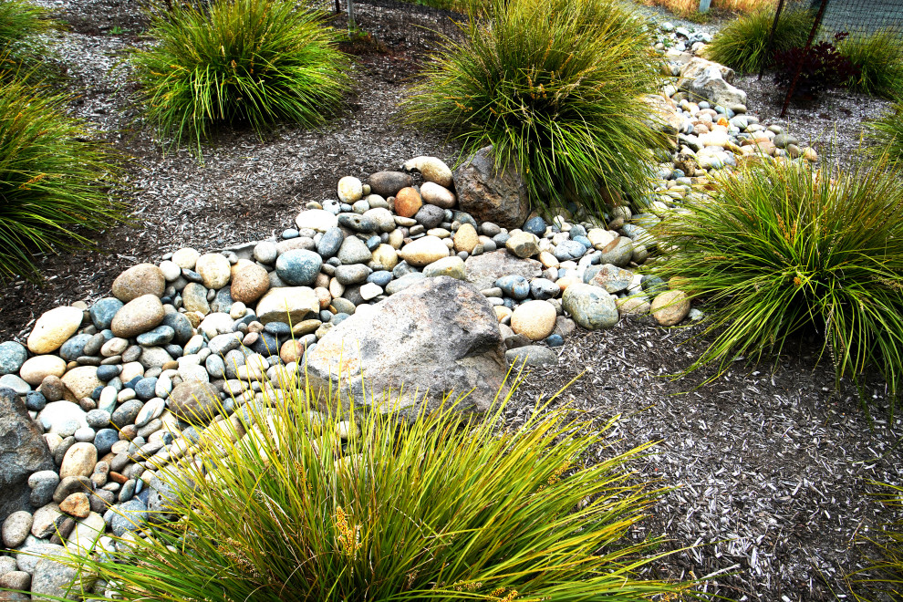This is an example of a large modern side yard partial sun xeriscape in San Francisco with with rock feature and mulch.