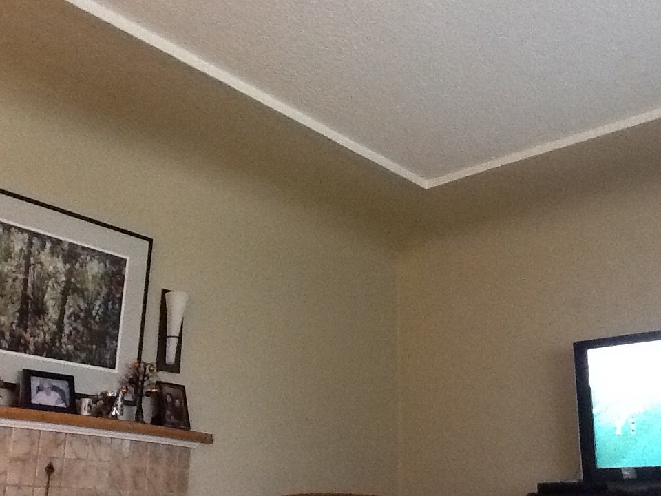 Coved ceilings with inset paint ideas???