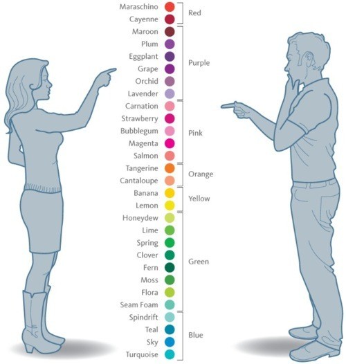 Frauen nehmen mehr Farben wahr als Männer?