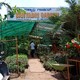 Sahyadri Nursery landscaping and Garden contractor