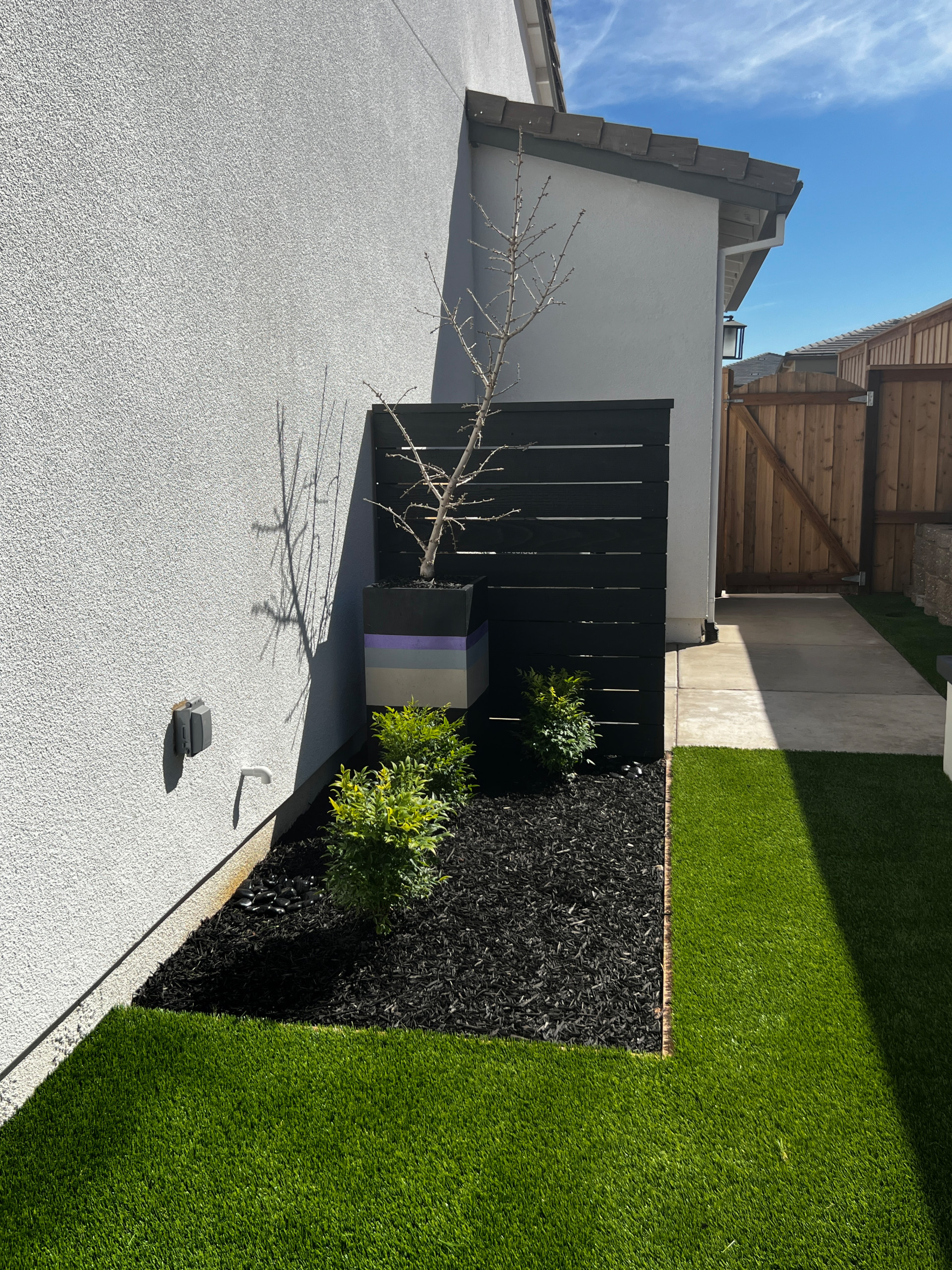 Bickford Ranch New Backyard