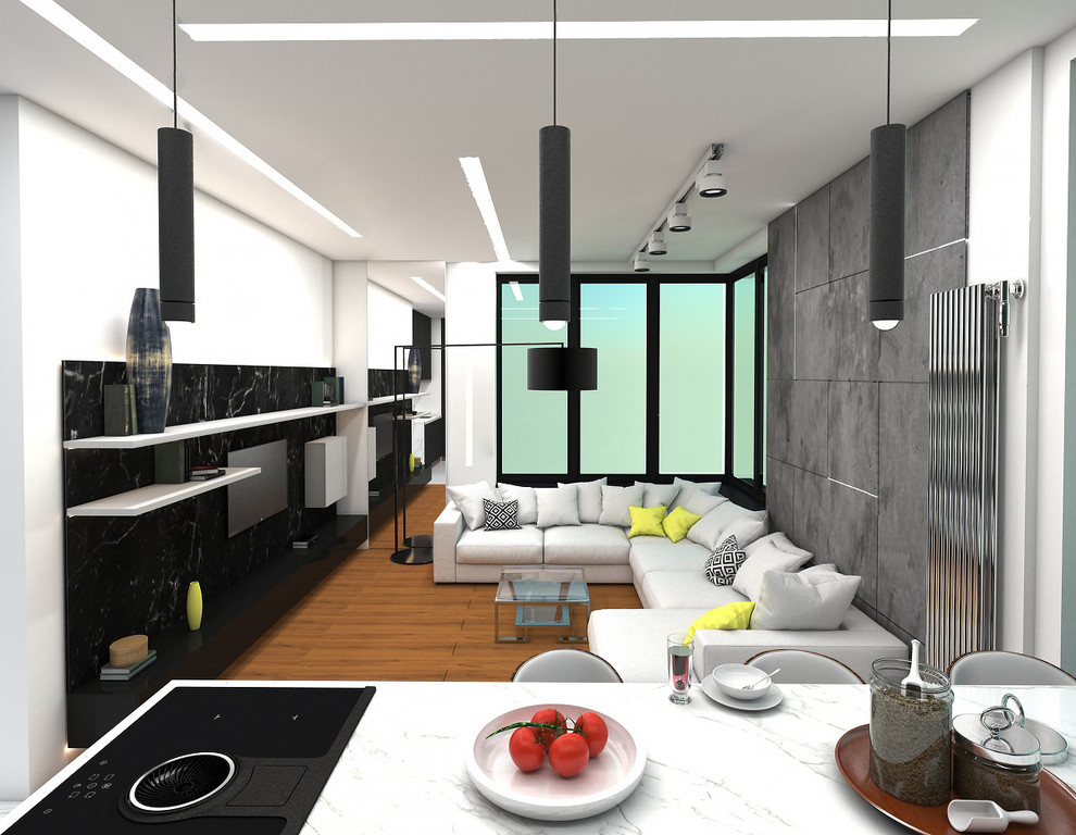 Кухня совмещенная с гостиной