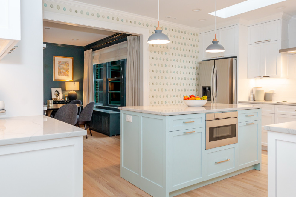 Kitchen - transitional kitchen idea in Chicago
