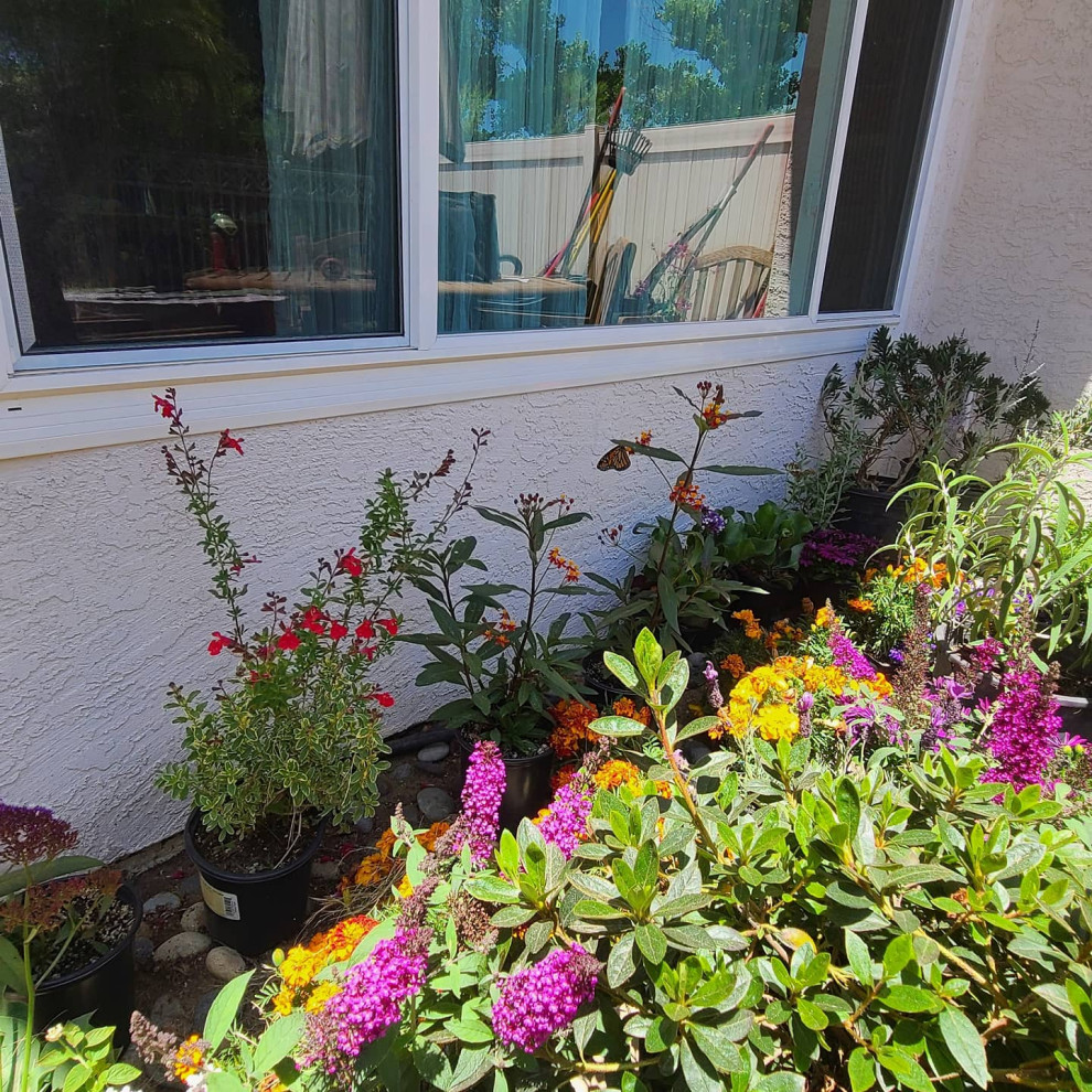Geometrischer, Kleiner, Halbschattiger Klassischer Garten im Sommer, hinter dem Haus mit Blumenbeet und Granitsplitt in San Diego