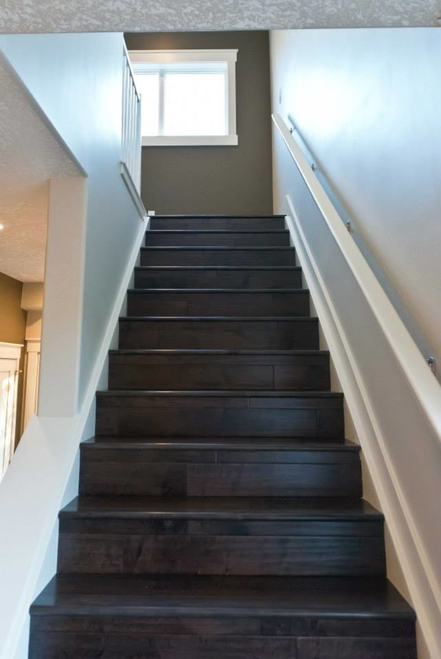 Mid-sized contemporary painted wood straight staircase in Edmonton with wood risers.