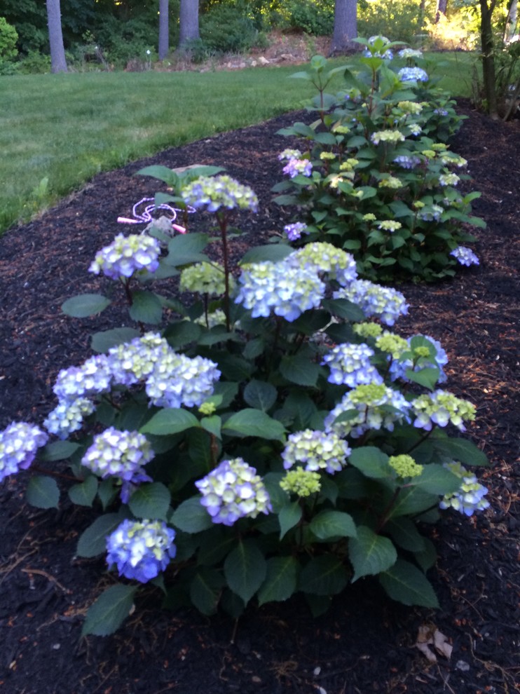 Image of Bloomstruck Piece of Art Garden in Full Bloom