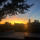 webuser_20287566
