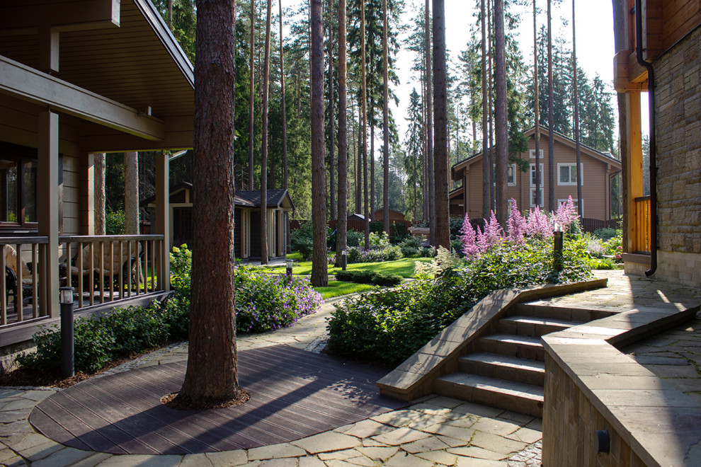 Еловая аллея