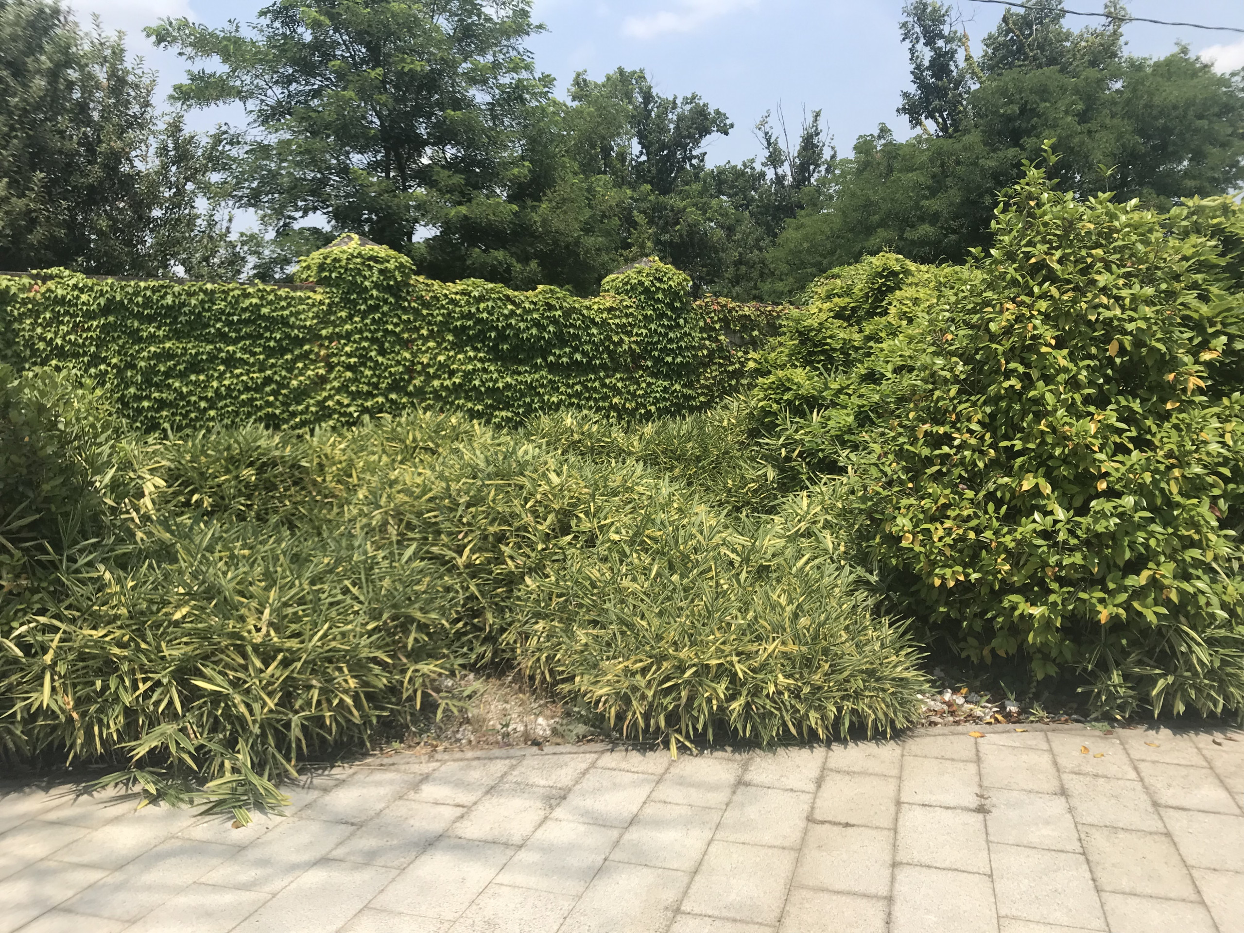 Giardino zen