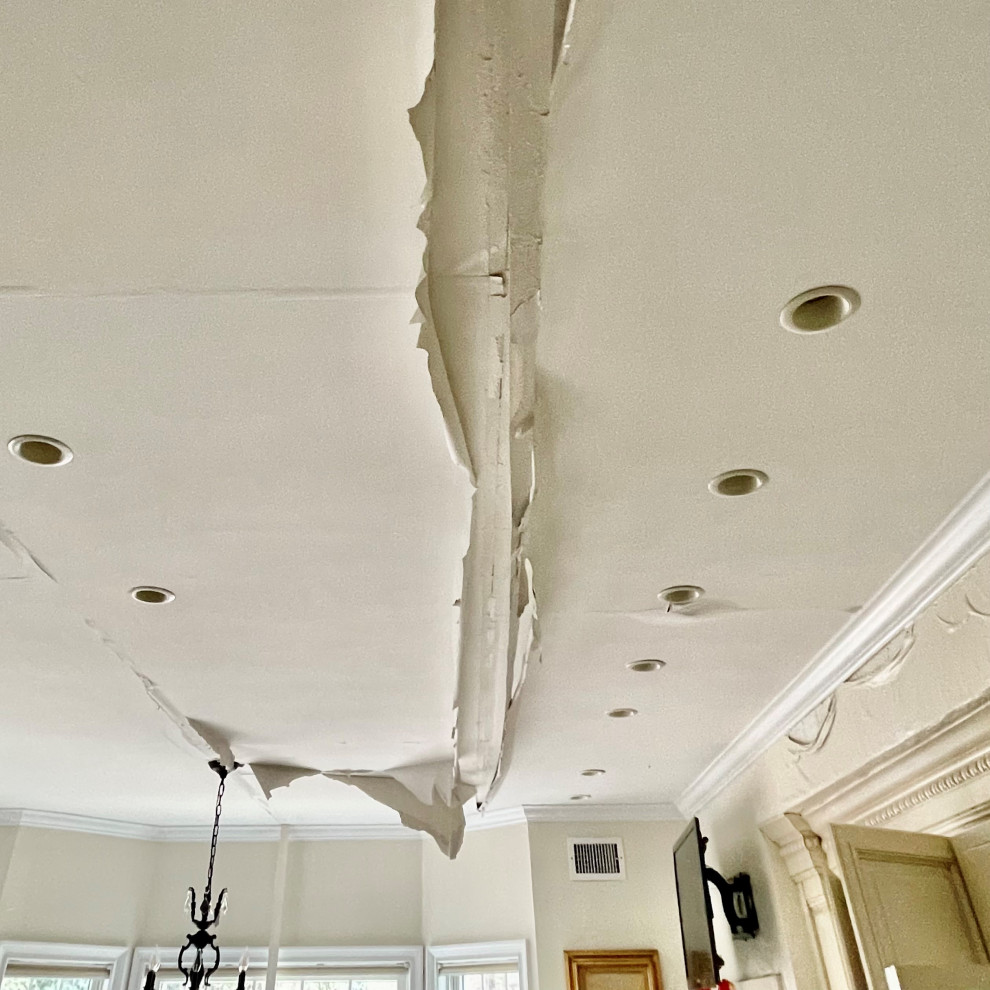 Broken Pipe & Mold Repair