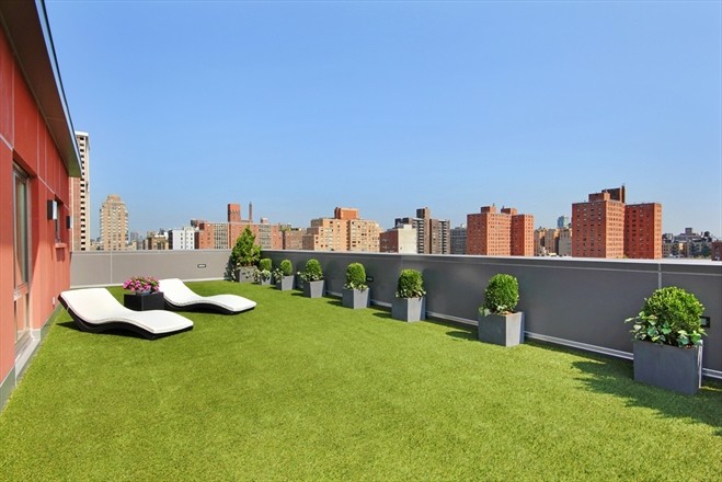 This is an example of a large transitional rooftop full sun garden in New York.