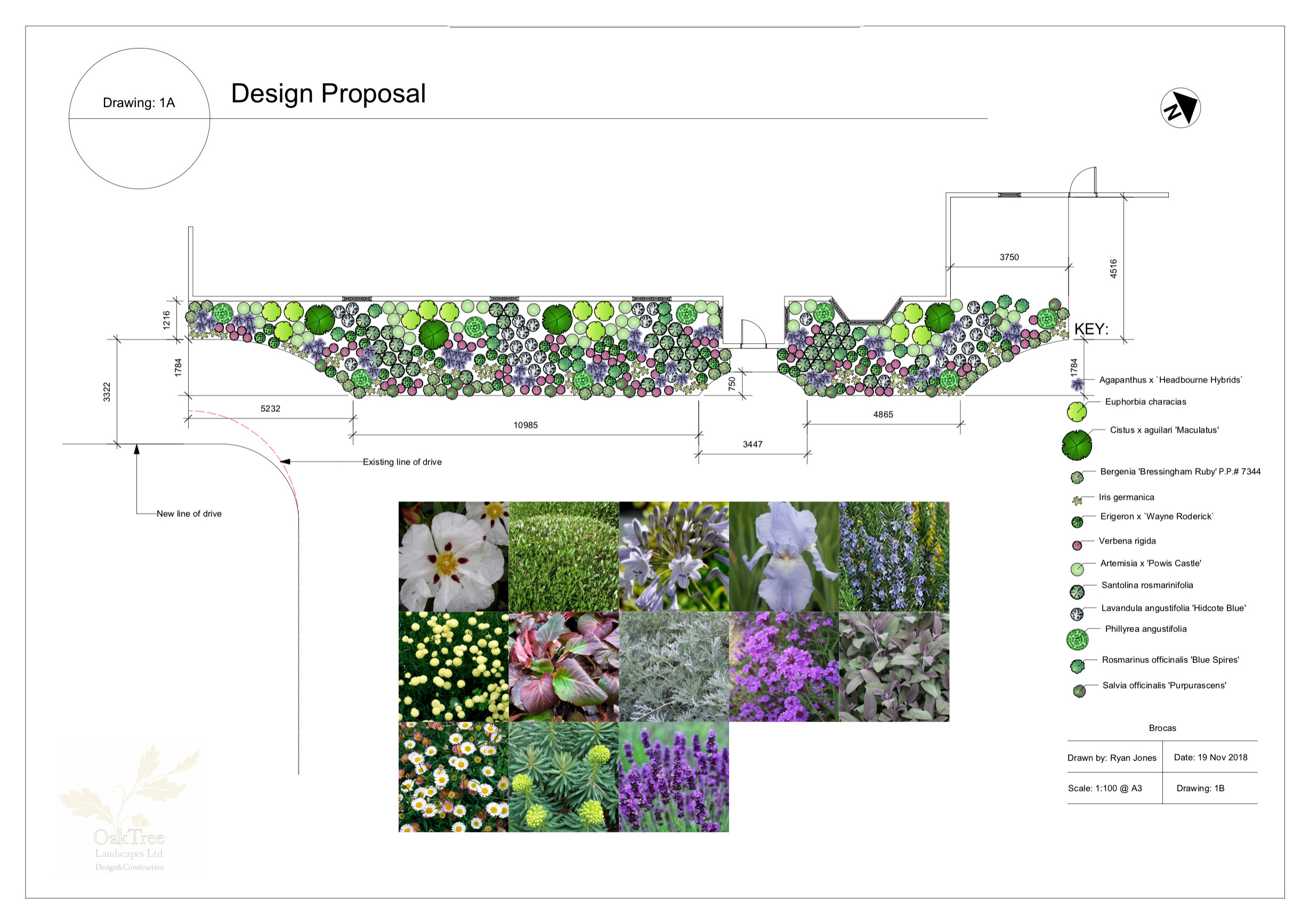 Large Country Garden
