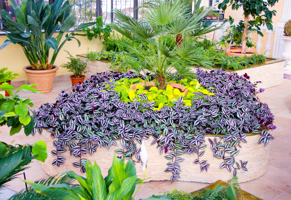 Мурманск, зимний сад