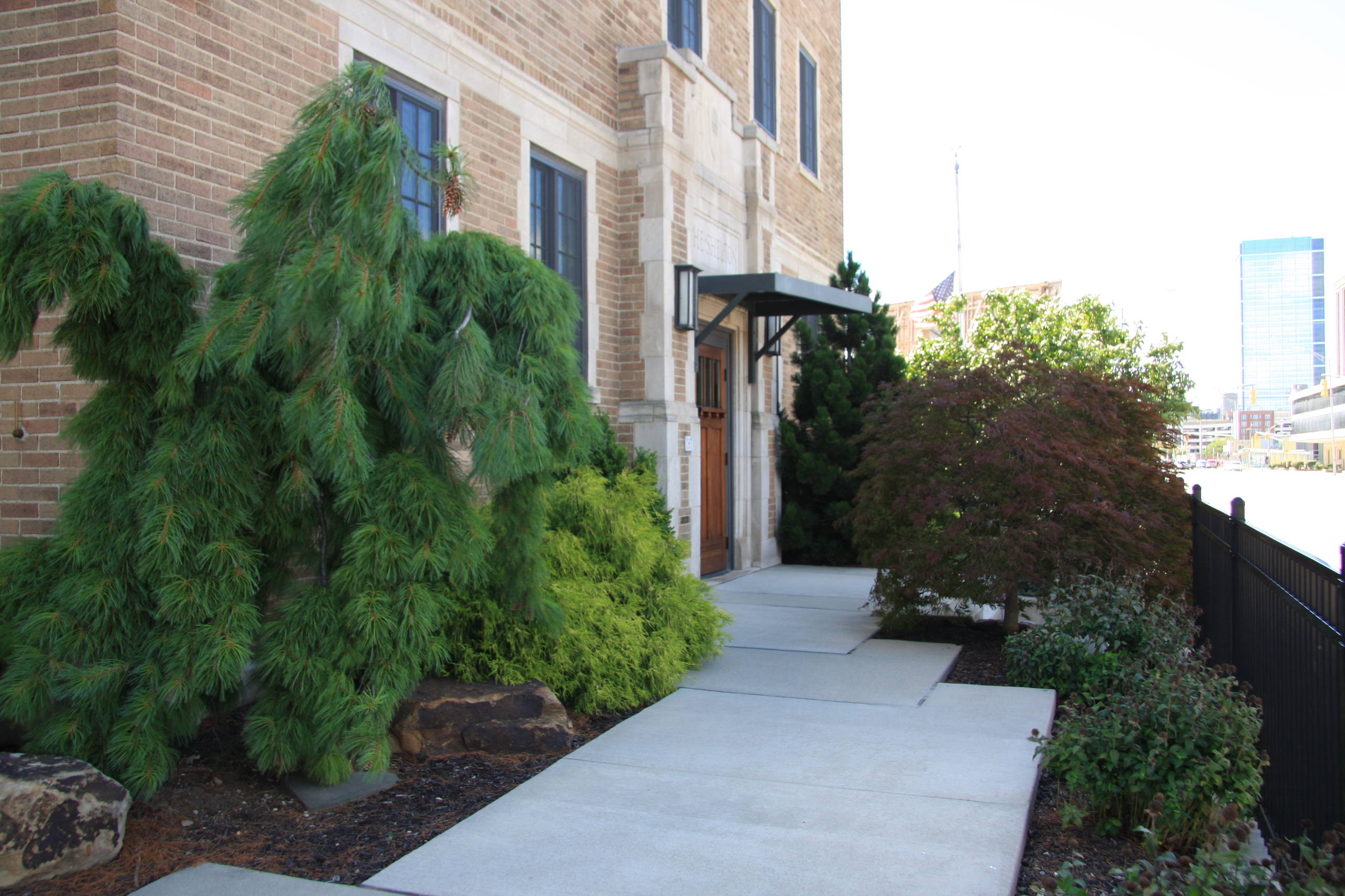 Wittern Roof top Garden
