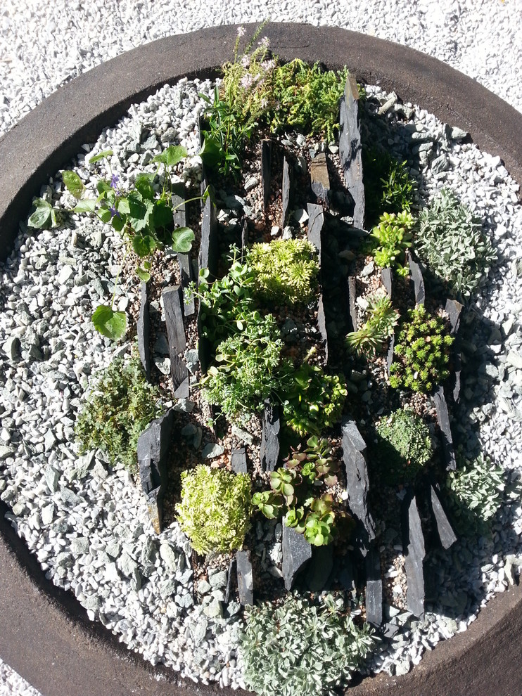 Альпинарии