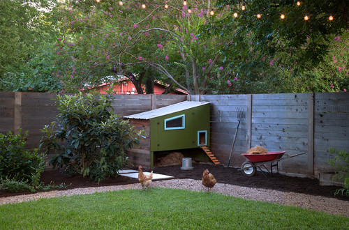 Perfect for a fenced in yard, this geometric chicken coop features a brightly colored pain scheme and a raised design for keeping your chickens safe and comfortable.