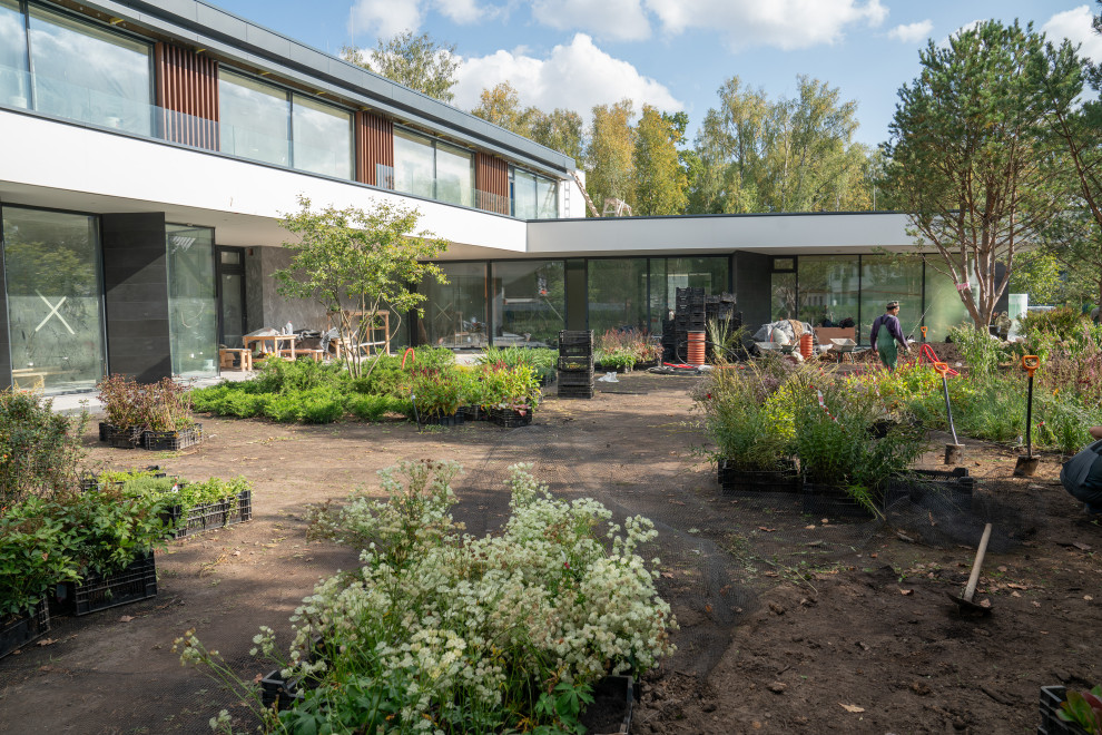 Антоновка. 30 соток. 2023 г.