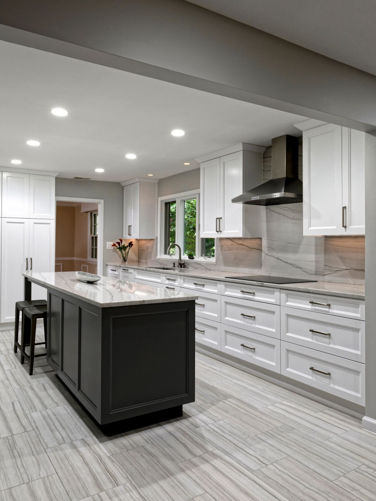Kitchen - transitional kitchen idea in DC Metro
