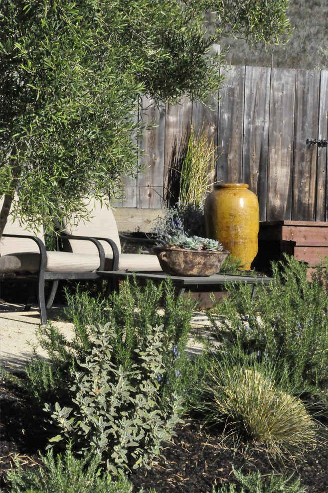 Photo of a rustic backyard gravel landscaping in San Luis Obispo.