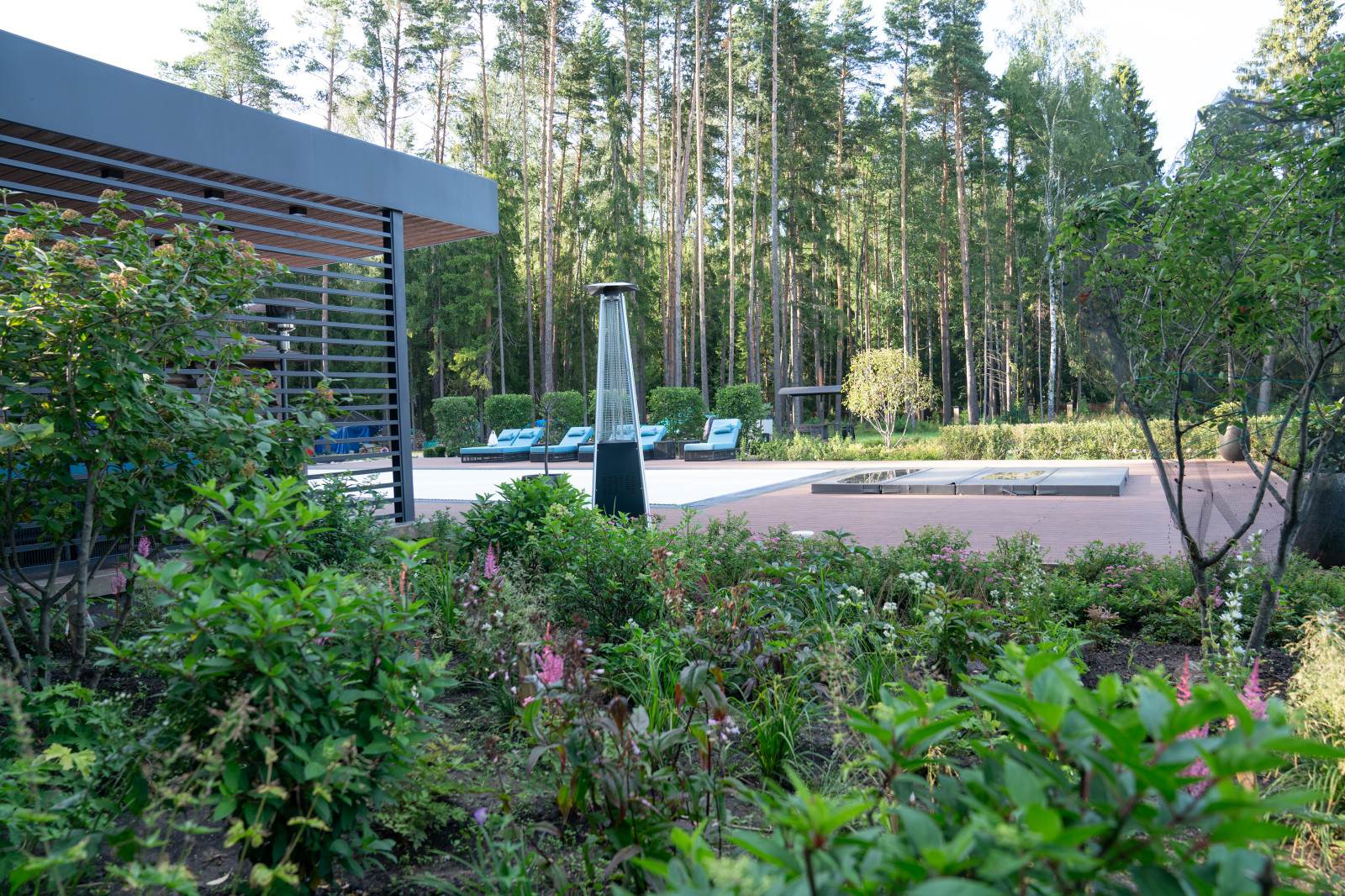 Лесные Зори. 1 Га. 2023 г.