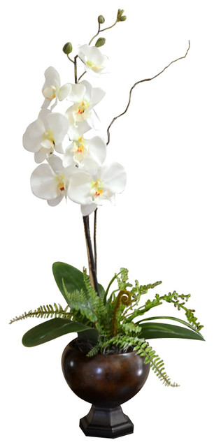 Orchids In Contemporary Vase, White