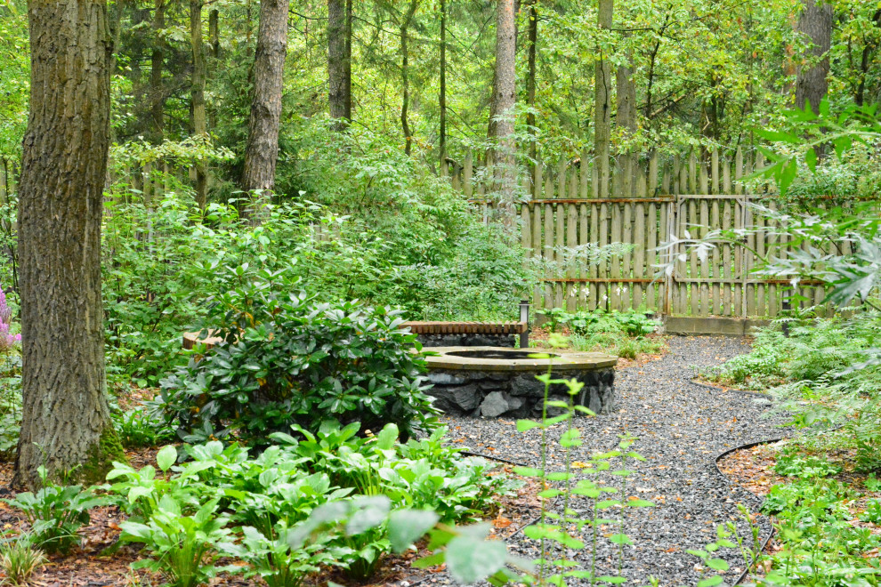 Заповедный бор