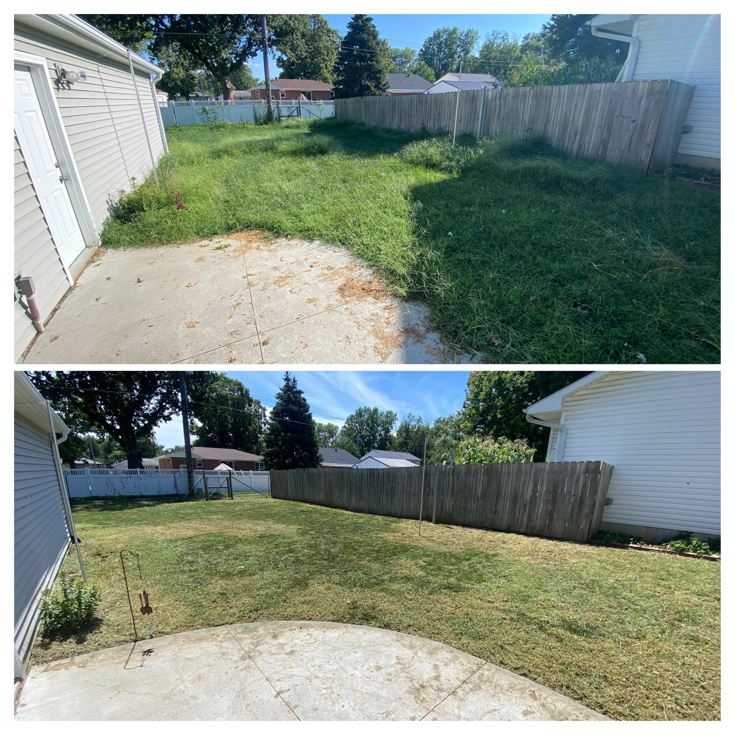 Mowing & Cleanup 1
