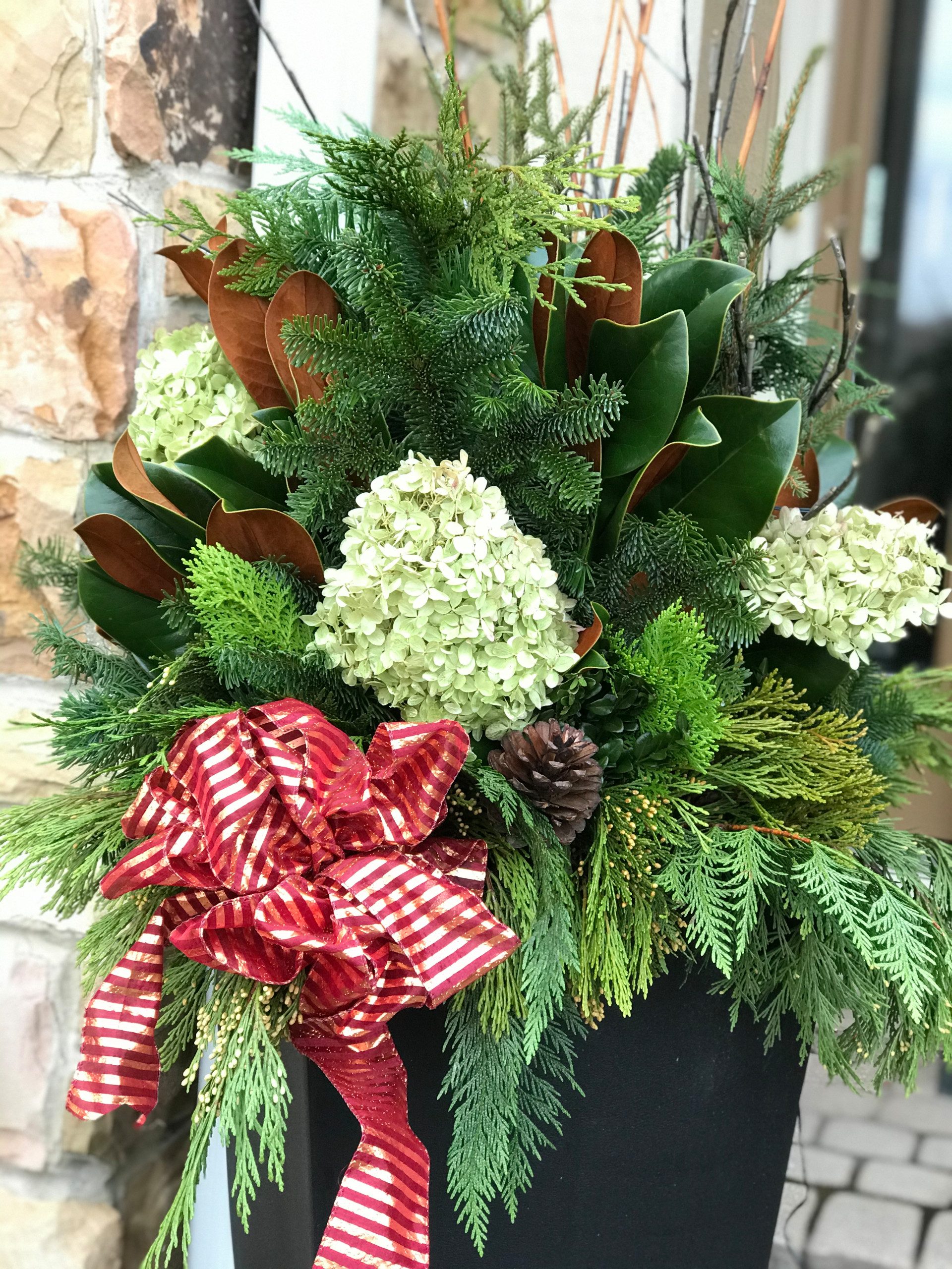 Winter containers and Holiday Decorations