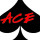 ACE Pool Repair