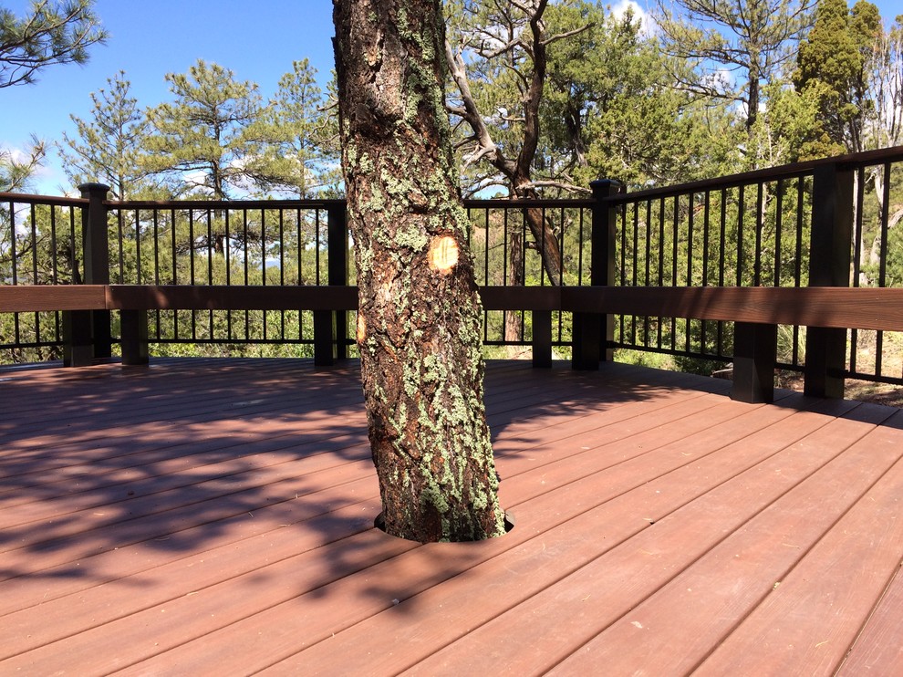 Deck - large transitional backyard deck idea in Denver with no cover