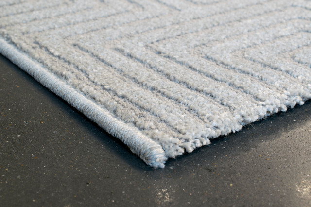 Magnus Gray Area Rug, 2'x3.11' - Contemporary - Area Rugs - by Dynamic ...