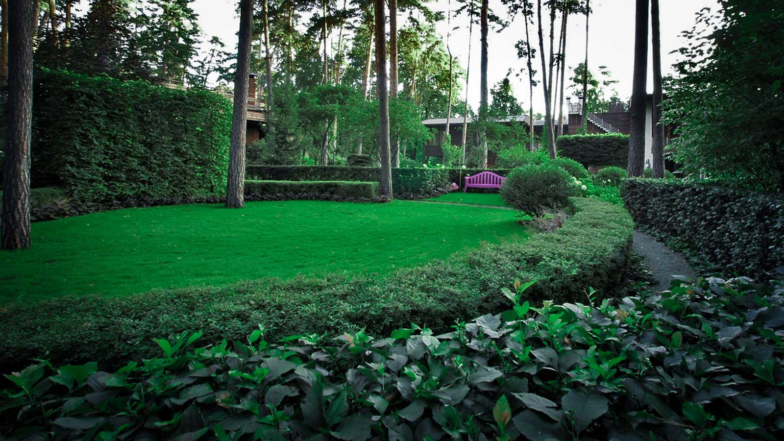 Серебряный бор